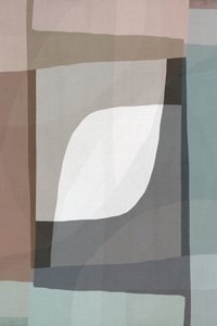 Pehmeä geometrinen virtaus tekijältä cartissi
