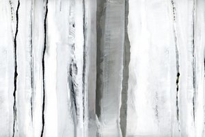 Valkoisen metsän abstrakti tekijältä cartissi