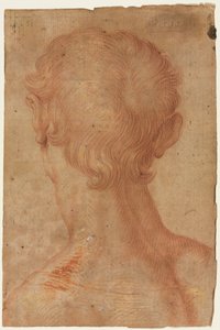 Miehen pää takaa tekijältä copy after Agnolo Bronzino