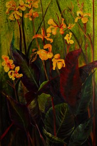 Canna Lily, 2017 (öljy kankaalle)