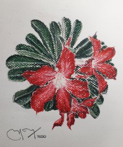FLOR DEL DESIERTO tekijältä miguelmendez_art.ve