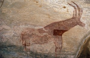 Sorkkaeläin, luolamaalaus, Sephar, Tassili n