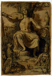 Orpheus lumoaa eläimiä viulun musiikilla. Piirustus Federico Zuccari (1542 - 1609). tekijältä or Zuccaro Federico Zuccari