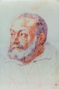 Jacopo Barozzi da Vignolan muotokuva tekijältä or Zuccaro Federico Zuccari