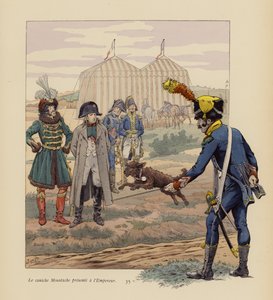 Napoleonille esitelty koira Viikset (värilitografia). tekijältä pseudonym for Onfray de Breville Jacques Job