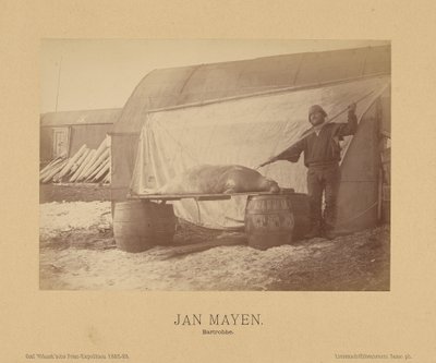 Jan Mayen, Bartrobbe tekijältä (Linienschiffs Lieutenant) Richard Basso