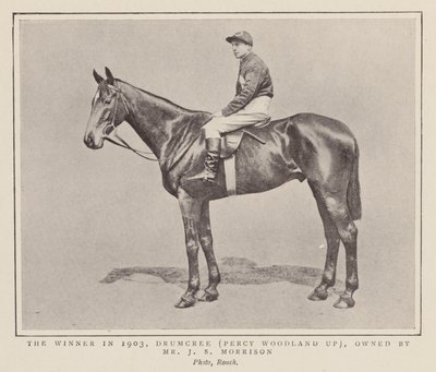 Drumcree, Grand Nationalin voittaja 1903 (s/w-kuva). tekijältä (after) English photographer