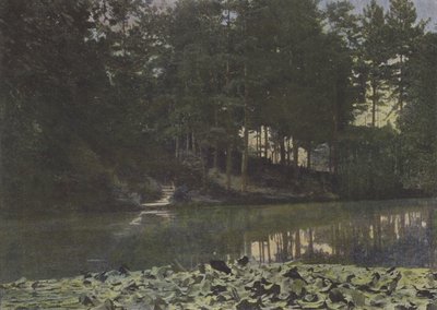 Bois de Boulogne, Reservoir (värillinen kuva) tekijältä (after) French Photographer
