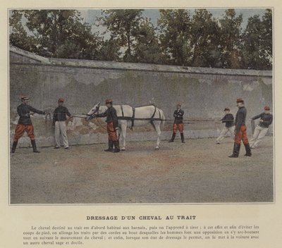 Luonnoshevosen kouluratsastus (värillinen kuva) tekijältä (after) French Photographer