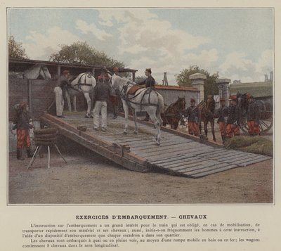 Lentoharjoitukset, hevoset (värillinen kuva) tekijältä (after) French Photographer