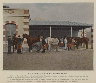 La Forge, eläinlääkärin käynti (värillinen kuva) tekijältä (after) French Photographer