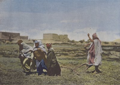 Kyntö Kabyliassa (värillinen kuva) tekijältä (after) French Photographer