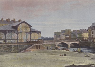 Nantes, Feydeaun saari (värillinen kuva) tekijältä (after) French Photographer