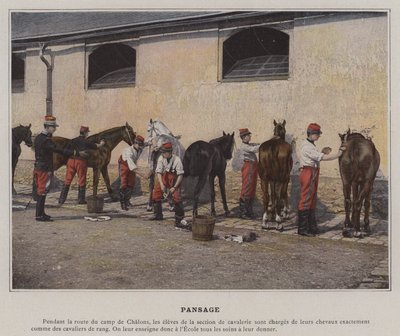 Pansage (värillinen kuva) tekijältä (after) French Photographer