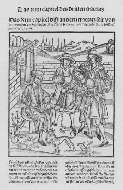 Kirurgian kirja, Hieronymus Brunschwig (litho) tekijältä (after) German School