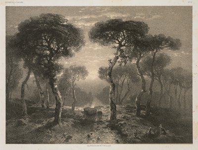 A. Calamen teoksia, nro 13: Sierren metsä Valais