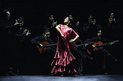 Ylpeä flamencotanssija tekijältä Richard Young