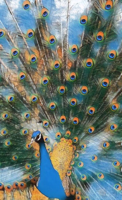 Pavo Real. tekijältä Margareta Uliarte