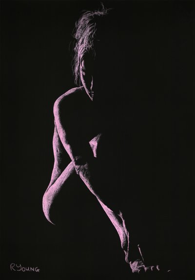 Päätökset tekijältä Richard Young