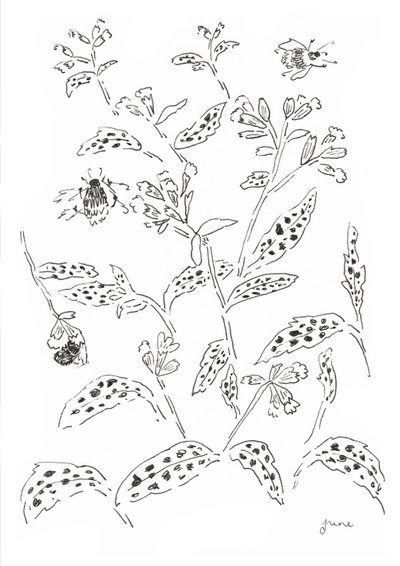 tekijältä june art