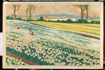 Isles of Scilly, sarjasta "Home Bulbs for Home Gardens" (värilitho) tekijältä A.A. Moores