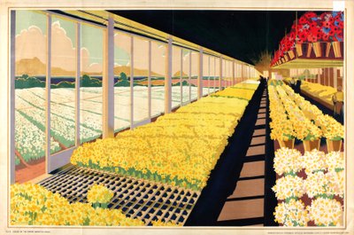 Nimetön, sarjasta "Home Bulbs for Home Gardens" (väri litho) tekijältä A.A. Moores