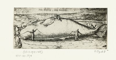 Vedos huuhtoutuneesta valasta lähellä Antwerpeniä, 2. heinäkuuta 1577 tekijältä A.B. van Deinse