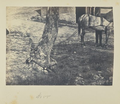 Kiskojen katkaiseminen ja taivuttaminen puun ympärillä tekijältä A.J. Russell