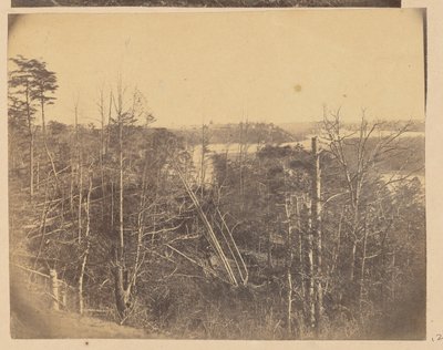 [Maisema, jossa on puita ja vettä] tekijältä A.J. Russell