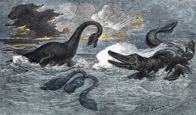Plesiosaurus ja ikthyosaurus alajurakaudelta tekijältä A. Demarle