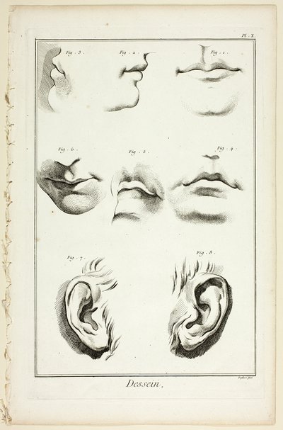 Suunnittelu: Encyclopédien kasvojen anatomia tekijältä A. J. Defehrt