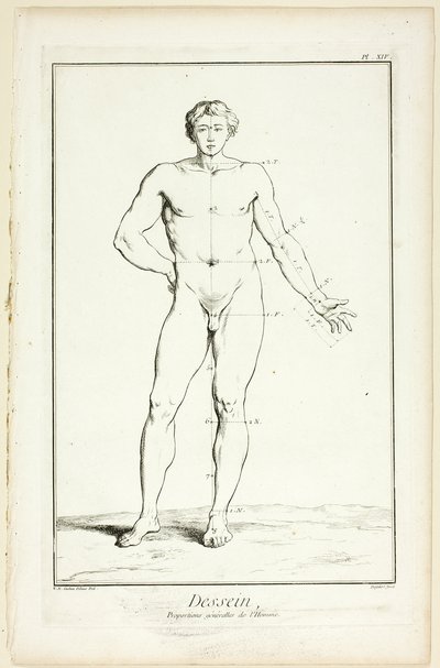 Suunnittelu: Encyclopédie: General Proportions of the Male, alkaen Encyclopédie tekijältä A. J. Defehrt