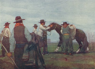 Gauchot murtautumassa nuoreen hevoseen, 1916 tekijältä A. S. Forrest