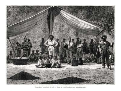 Ateria kahvin kokoontumisen jälkeen, Brasilia, 1800-luku tekijältä A. de Neuville