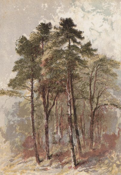 Kuusiryhmä (chromolitho) tekijältä Aaron Edwin Penley