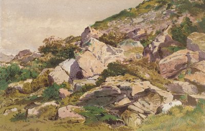 Tutkimus kivistä Taliaris-joen pohjoispuolella, lähellä Llandiloa, Etelä-Walesissa (chromolitho). tekijältä Aaron Edwin Penley