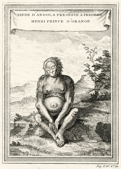 Kuva Orang-Outangista, joka esitettiin Frederick Henrylle, Orangen prinssille, 1750 tekijältä Abbé Prévost