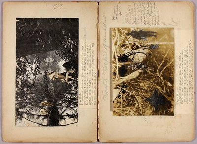 N. Amerikan intiaanit, opintokansio kirjaa Concealing Coloration in the Animal Kingdom varten tekijältä Abbott Handerson Thayer