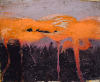 Red Flamingoes, tutkimus kirjaan Concealing Coloration in the Animal Kingdom, n. 1905-1909. tekijältä Abbott Handerson Thayer