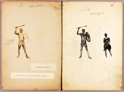 Tattooing-Single Warrior, opintokansio kirjaa Concealing Coloration in the Animal Kingdom varten. tekijältä Abbott Handerson Thayer