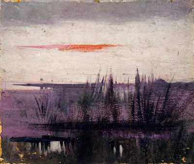 The Sky Simulated by White Flamingoes -tutkimus kirjaa varten..., Eläinvaltakunnassa, n. 1905-1909. tekijältä Abbott Handerson Thayer