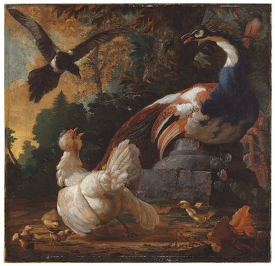 Riikinkukko, siipikarja ja harakka maisemassa, 1720 tekijältä Abraham Bisschop