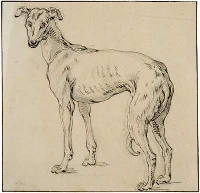 Vinttikoira tekijältä Abraham Bloemaert