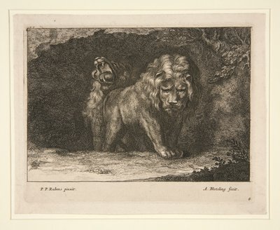Lionit. Sarjasta tekijältä Abraham Blooteling