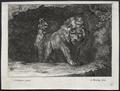 Erilaisia lioneita tekijältä Abraham Blooteling
