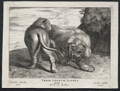 Erilaisia lioneita. tekijältä Abraham Blooteling