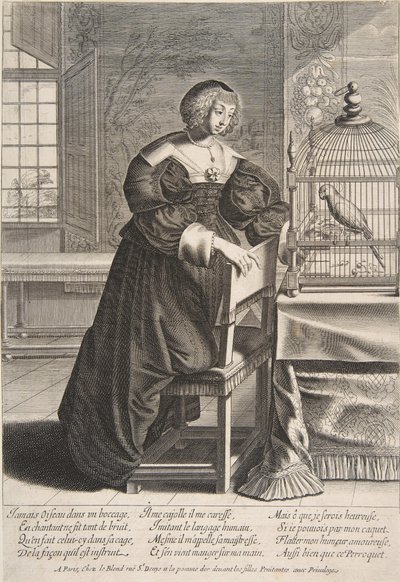 Papukaija, 1620-76. tekijältä Abraham Bosse