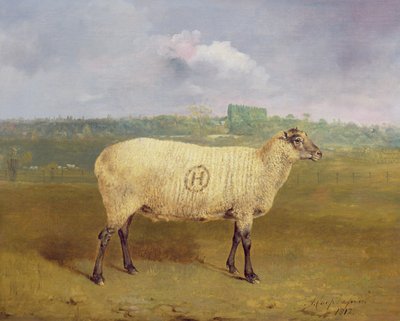 Prize Ewe, jonka monogrammi on "H", joka kuuluu herra J.A. Houblon, Hallingbury Place, Essex, 1812 tekijältä Abraham Cooper