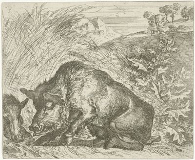 Villisika Eri eläimet (sarjan nimi) tekijältä Abraham Danielsz. Hondius