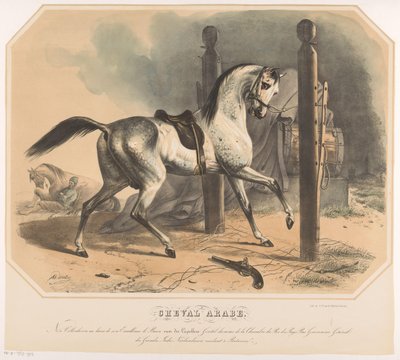 Arabialainen hevonen, kirjoittanut Godert van der Capellen Cheval Arabe (otsikko esineessä) tekijältä Abraham Hendrik Winter